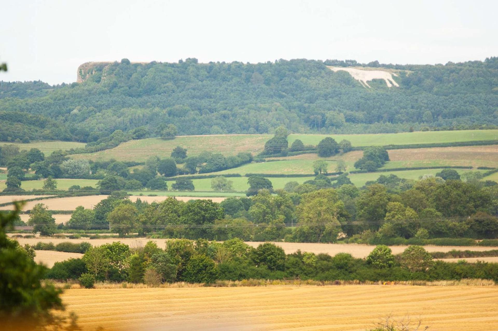 Hotel Burtree House & Retreats Tipi With Secluded Hot Tub Thirkleby Esterno foto